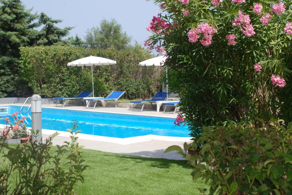 Bazén v ubytování Natur Hotel Tanca nebo v jeho okolí