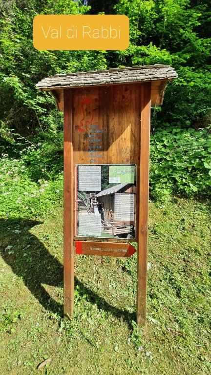 Fotografie z fotogalerie ubytování Marmot Apartment v destinaci Dimaro