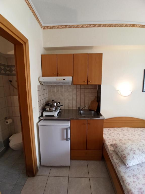 Kuchyň nebo kuchyňský kout v ubytování Villa Cosmos Inn