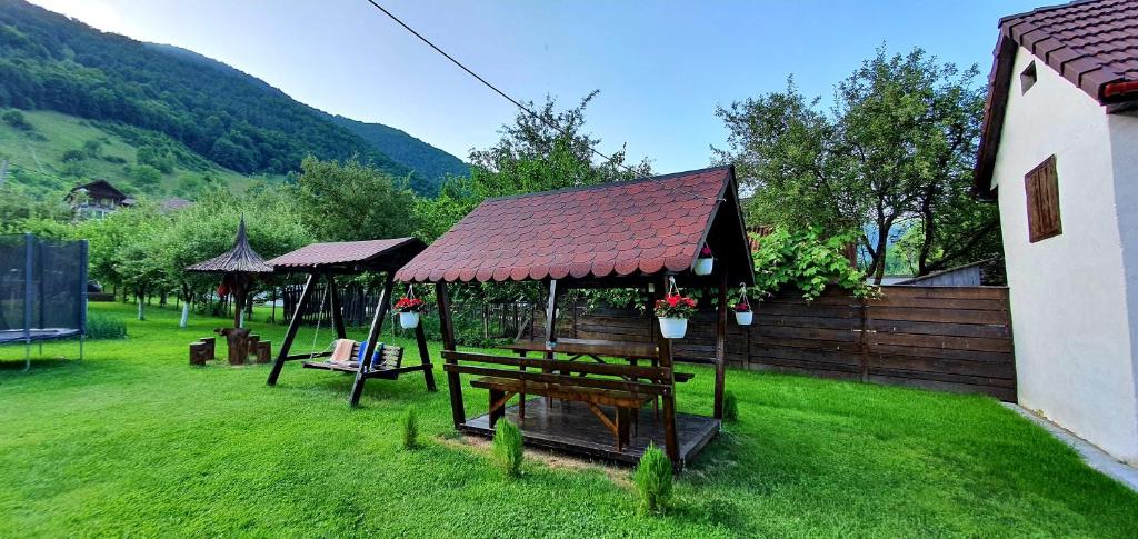 a picnic table and a pavilion in a yard at Casa Maria Transalpina in Martinie