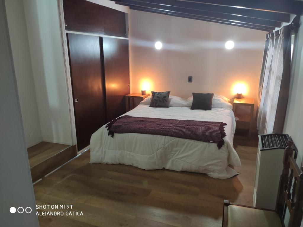 een slaapkamer met een groot bed in een kamer bij Ushuaia Got in Ushuaia