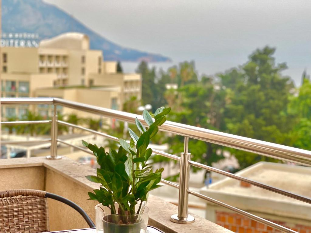 Apartments Boreta Becici - 5