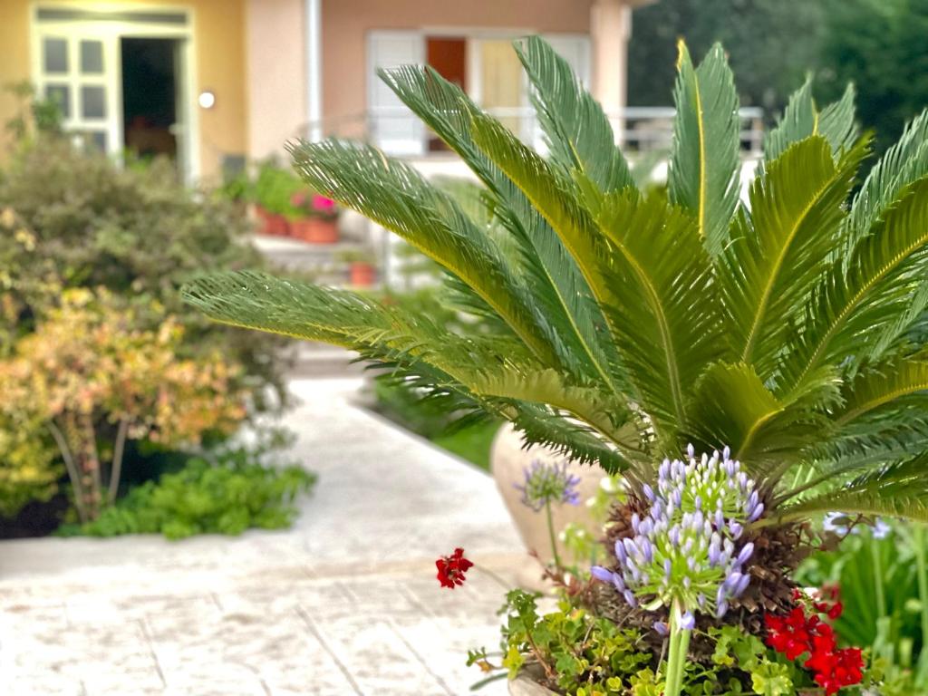 Apartments Boreta Becici - 7