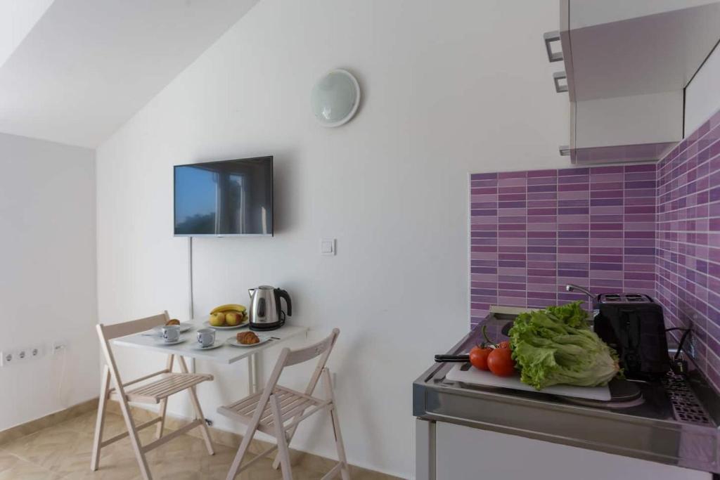 Kuchyň nebo kuchyňský kout v ubytování Studio Apartman Blue View