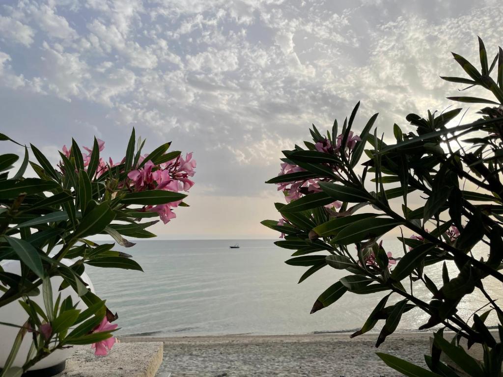 a view of the ocean from a beach with flowers at Sweet dreams at the seaside in Skála Foúrkas