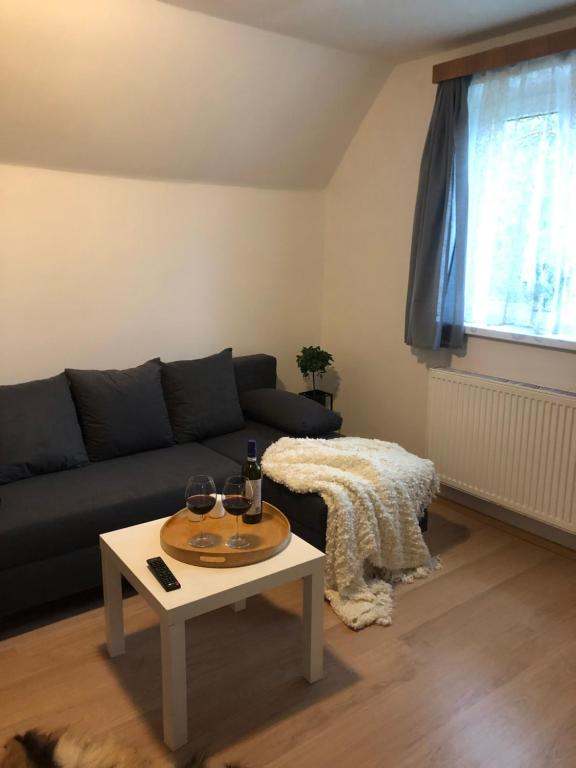 Posezení v ubytování Apartmány Jevany