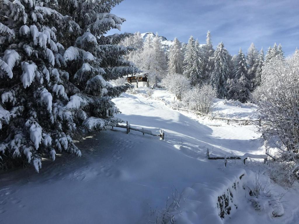 Appartement Waidmannsheil mit schöner Aussicht v zimě