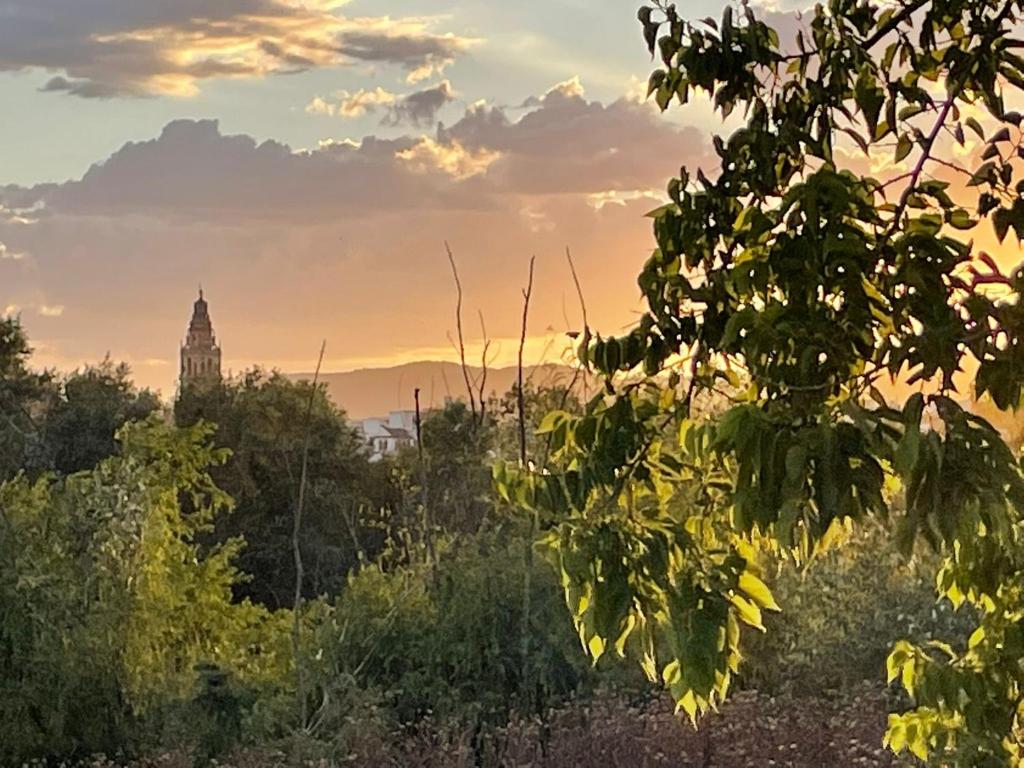 Příroda nedaleko apartmánu