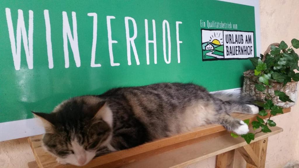 Domácí mazlíčci ubytovaní s hosty v ubytování Winzerhof Fleischmann