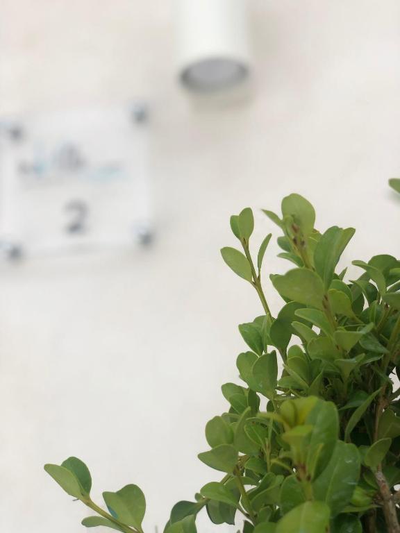 InVilla Bed&Breakfast - Quality Rooms - 11