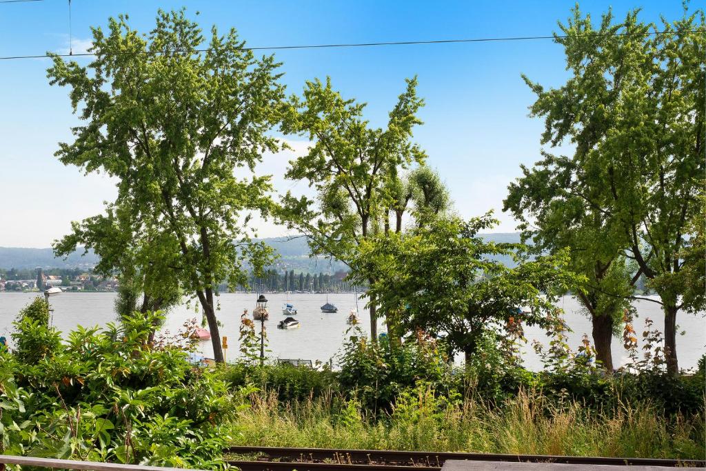 a view of a river with boats in the water at Gnadenseeblick in Allensbach