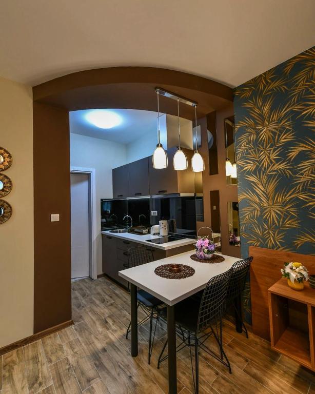 Eldhús eða eldhúskrókur á APARTMAN DOLAR