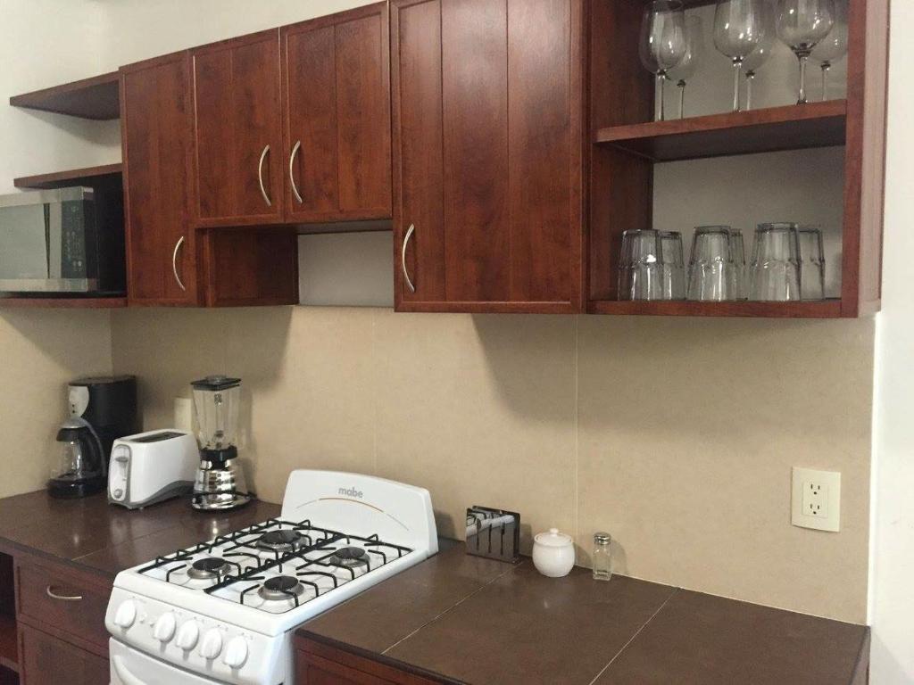 Kuchyň nebo kuchyňský kout v ubytování Zenharmony Suites