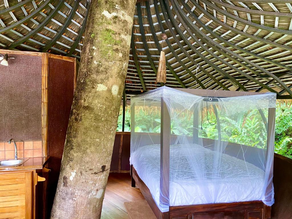 Zahrada ubytování Cabanas Rio Encantado
