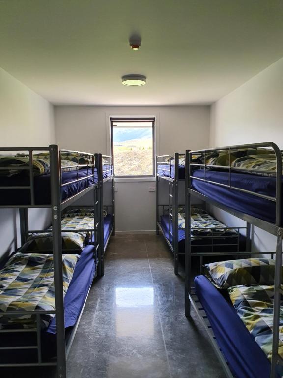 
Bunk Bed in Male Dormitory Room 
