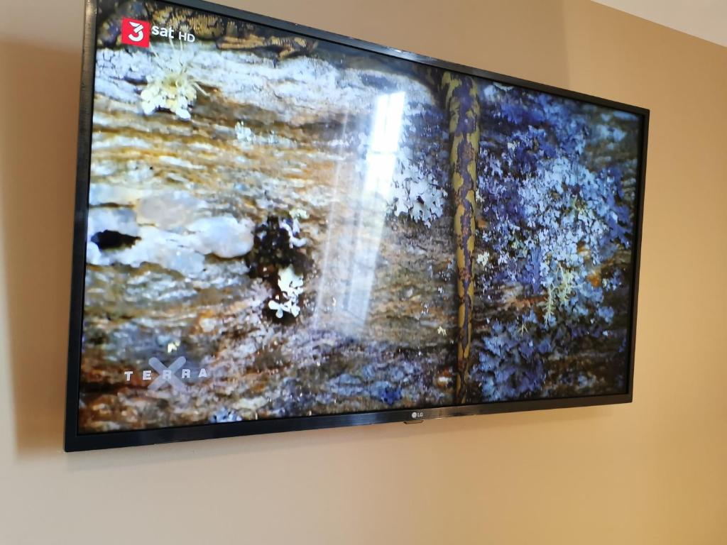 TV a/nebo společenská místnost v ubytování Golf- & Landhotel am alten Deich