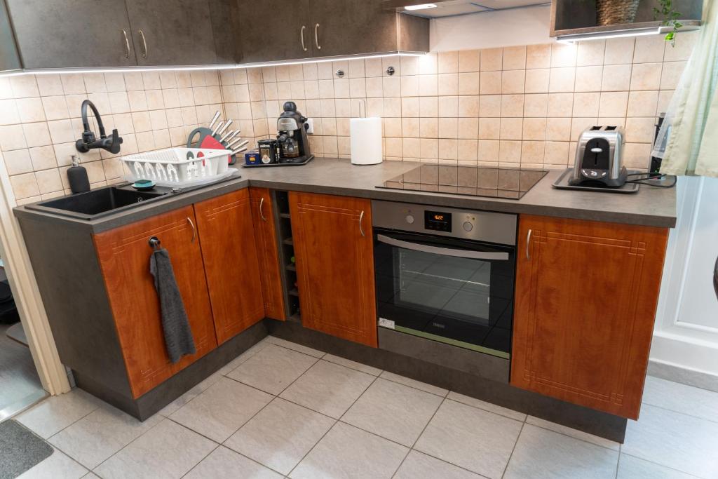 kuchnia ze zlewem i kuchenką w obiekcie VIP Apartman Balatonföldvár w Balatonföldvárze