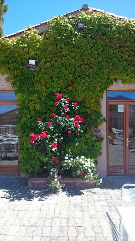 Zahrada ubytování Hôtel "U Nebbiu"
