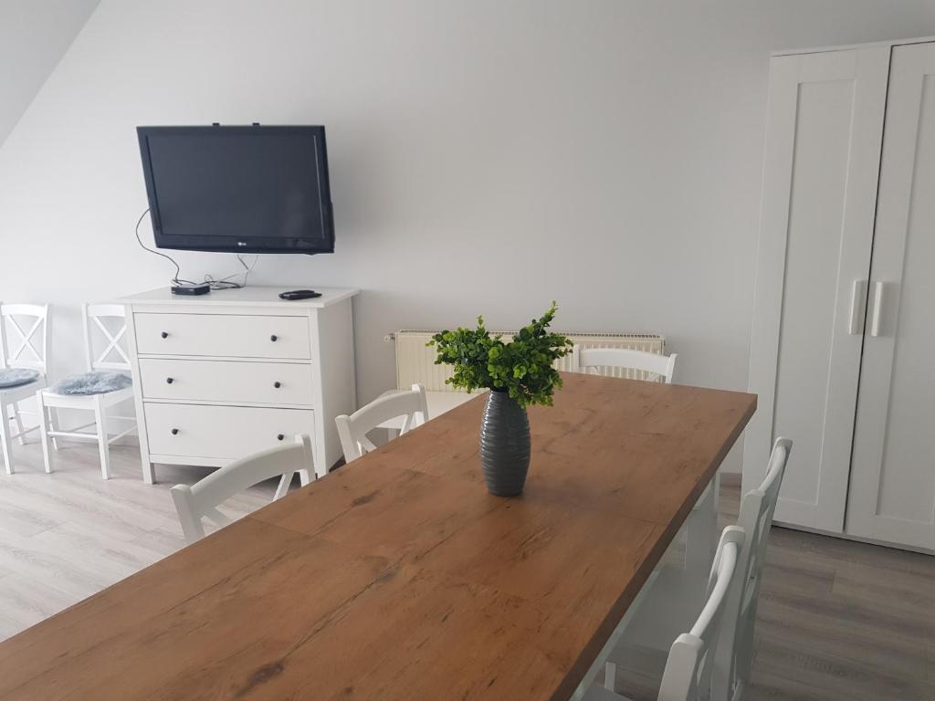 TV a/nebo společenská místnost v ubytování Zoli Apartmanok-Adri Kölcsey 32