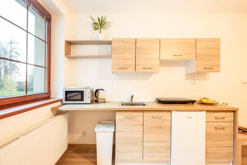 Úpatí Ještedu - apartmány - Resim 10