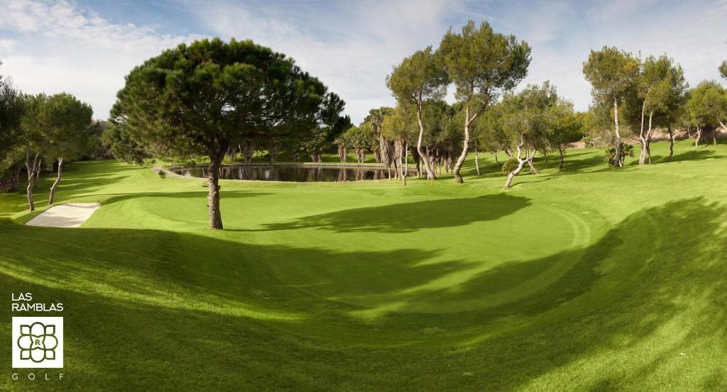 Golf v hotelu nebo okolí