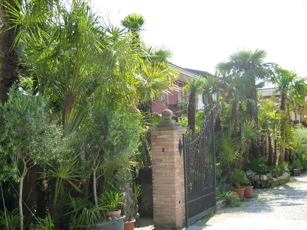 Zahrada ubytování B&B Le Palme d'Oro