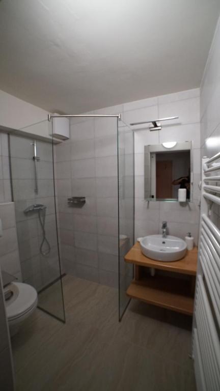 Koupelna v ubytování Sobe Proštija