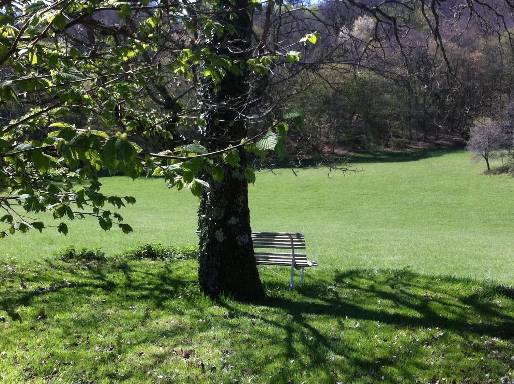 un banco de parque junto a un árbol en un campo en Péchalvet, en Fleurac