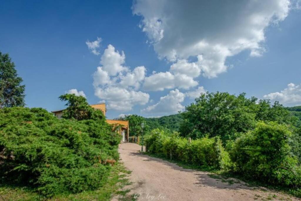 Příroda nedaleko vily