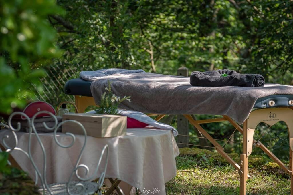 Zahrada ubytování Gîte du Mont Plaisir