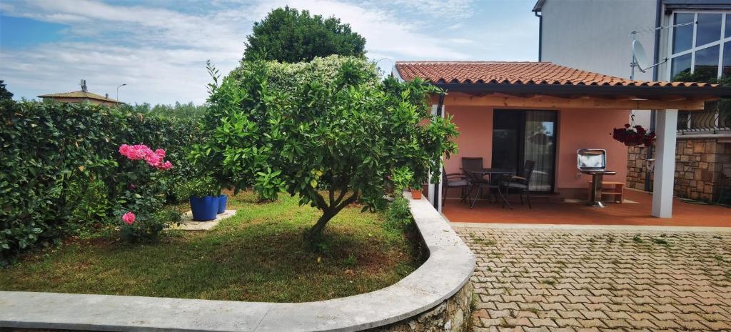 a house with a small tree in front of it at NORA home in Novigrad Istria