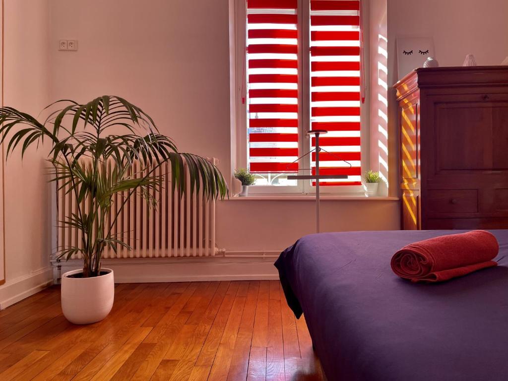 a bedroom with red shuttered windows and a potted plant at Residence Louis Quartier Centre Ville in Vittel