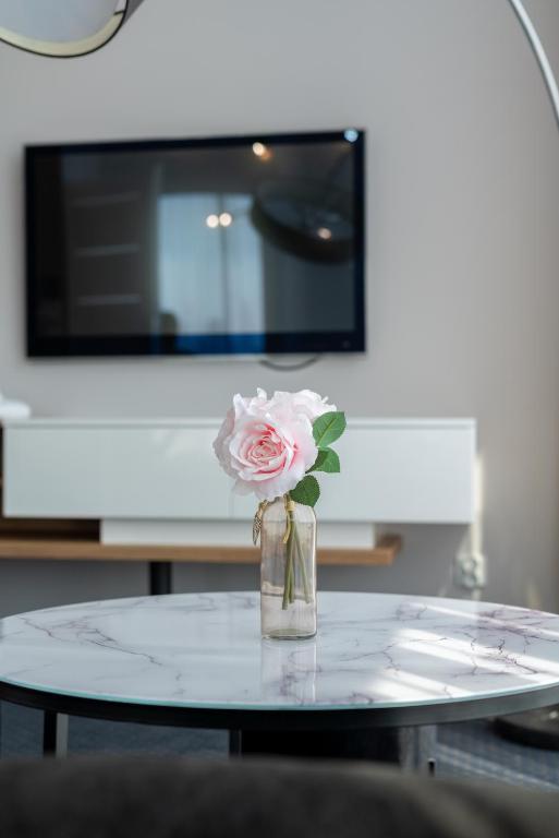 Televízia a/alebo spoločenská miestnosť v ubytovaní Aquila Hotel