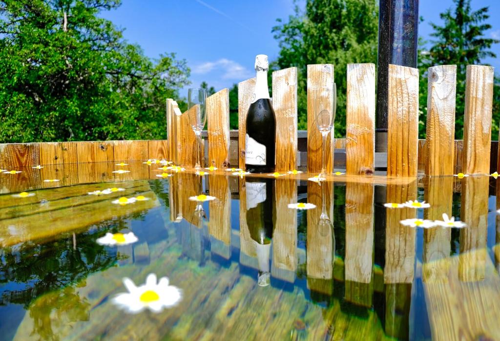 Zahrada ubytování Glamping Brodej