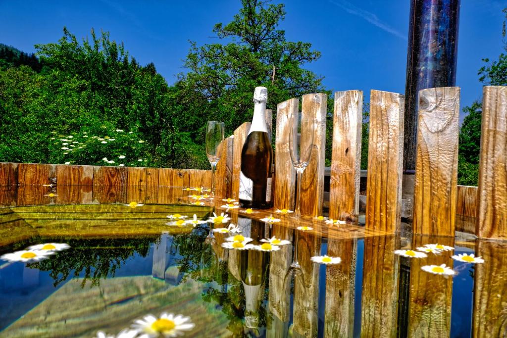 Zahrada ubytování Glamping Brodej