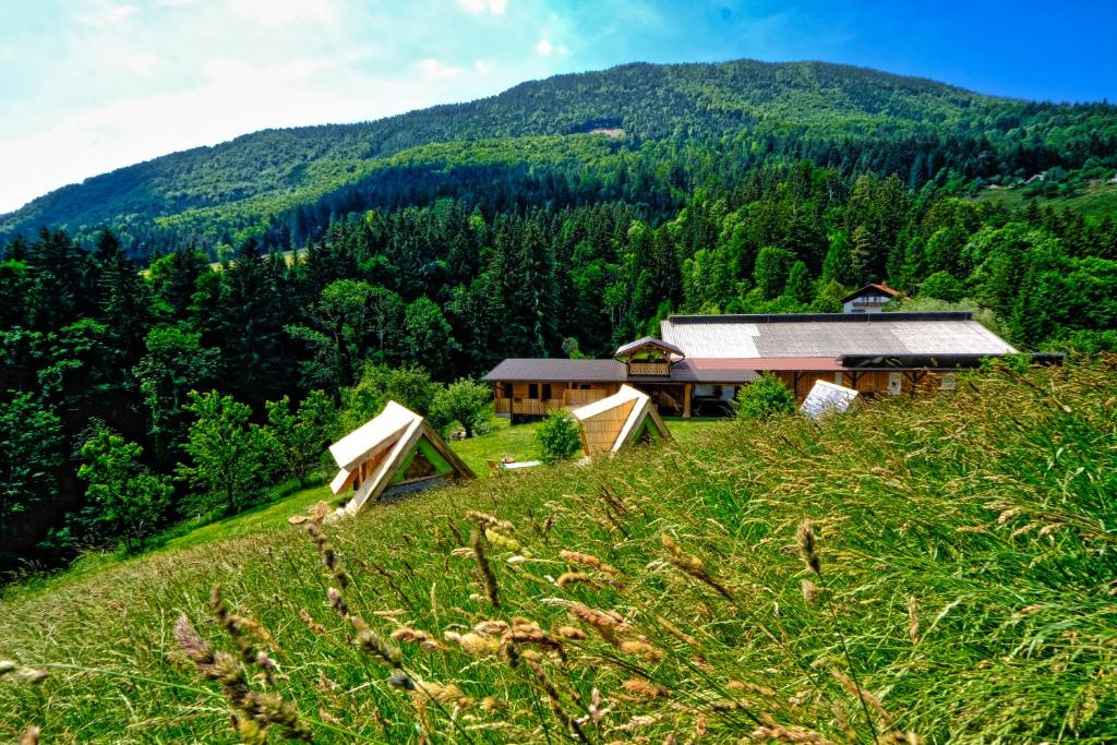 Příroda nedaleko luxury tent