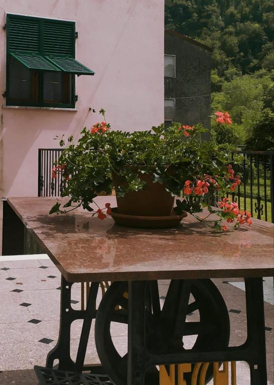 Balkon lub taras w obiekcie CASA SILVANA