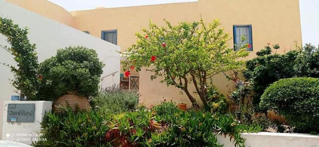 a garden in front of a building with trees and bushes at Chora View in Kythira