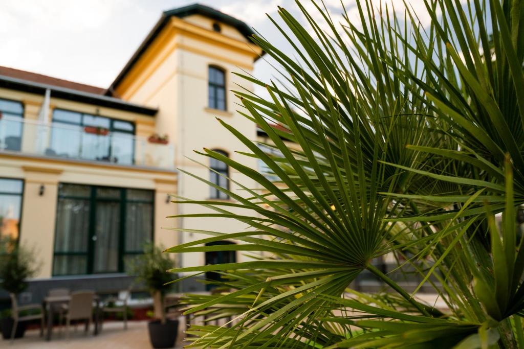 Vonkajšia záhrada v ubytovaní Elizabeth Hotel