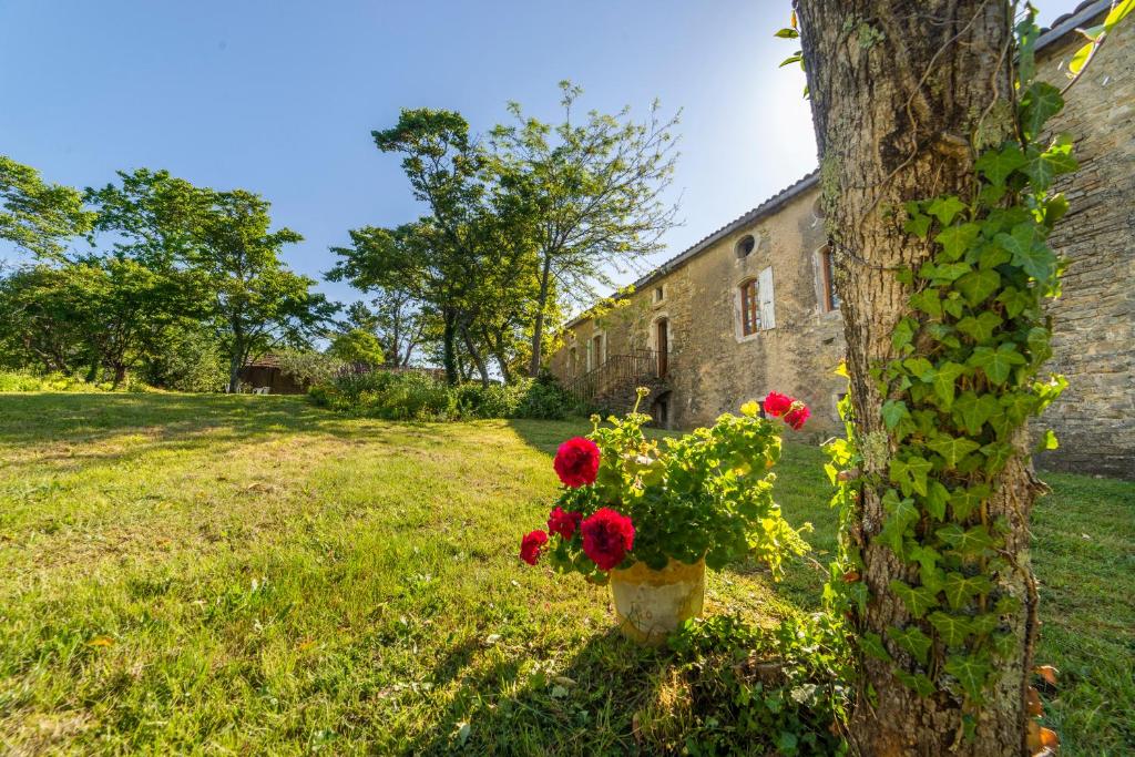 Zahrada ubytování Maison d'Hôtes Mas de la Chadenede