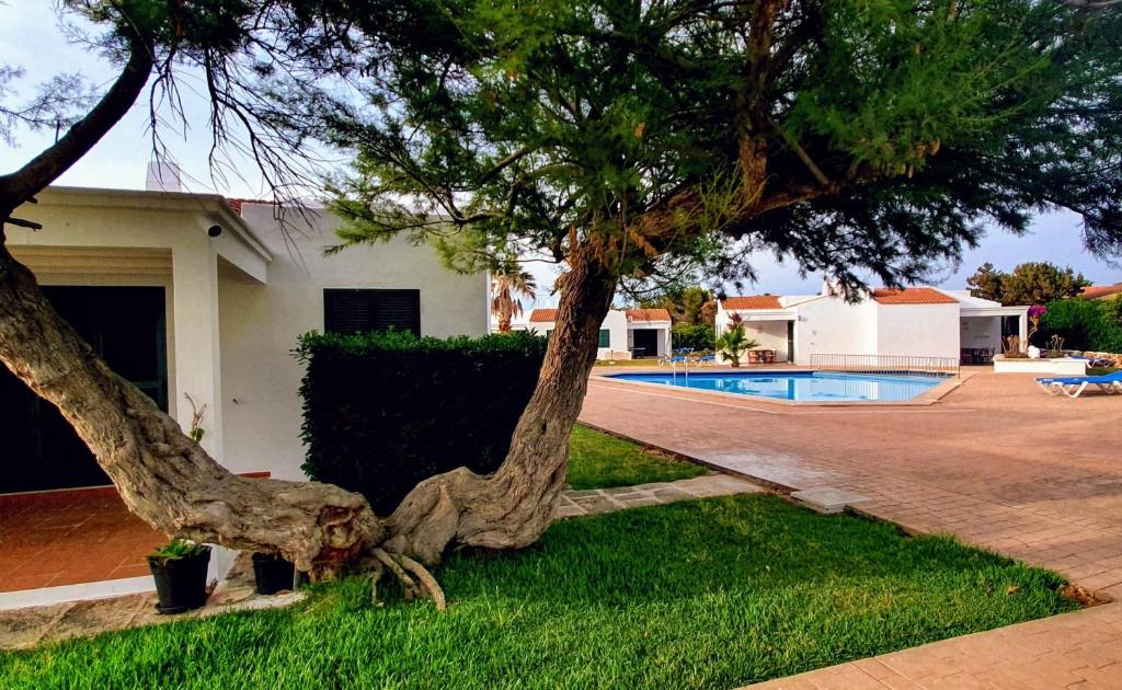 Kép Las Golondrinas - RISSAGA szállásáról Cala en Boschban a galériában