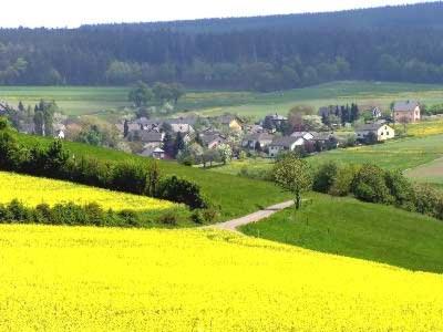 ein gelbes Rapsfeld mit einem Dorf im Hintergrund in der Unterkunft Penthouse Mosel Huntress in Gornhausen