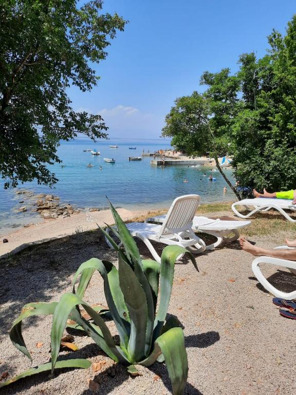 Príroda v okolí apartmánu