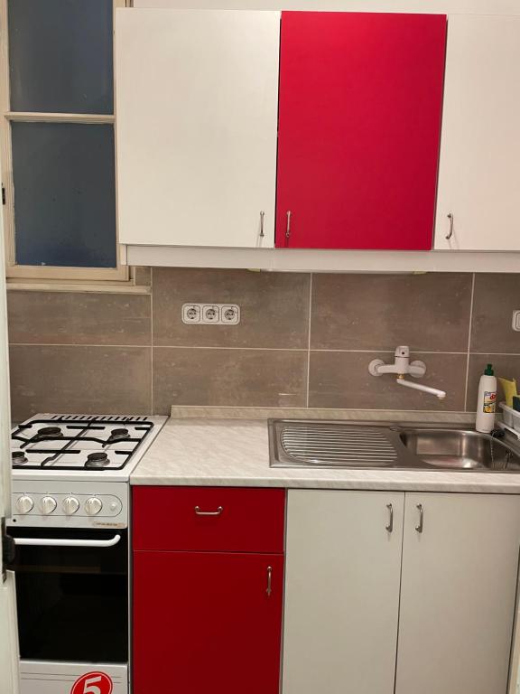 Kuchyňa alebo kuchynka v ubytovaní Buda Castle Apartment