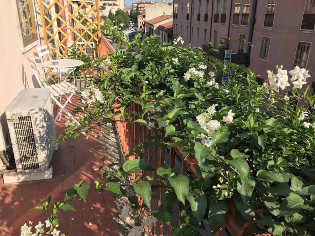 Zahrada ubytování Fleur Blanche