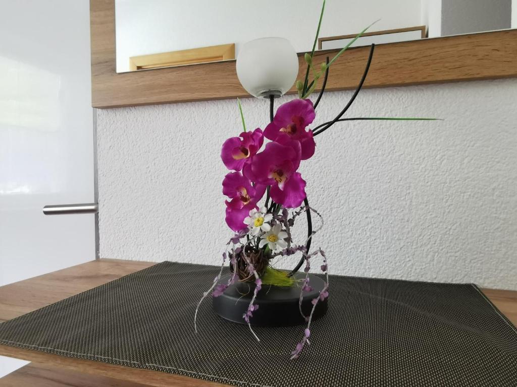 Fotografie z fotogalerie ubytování Appartement Frischmann Klaudia v Obergurglu