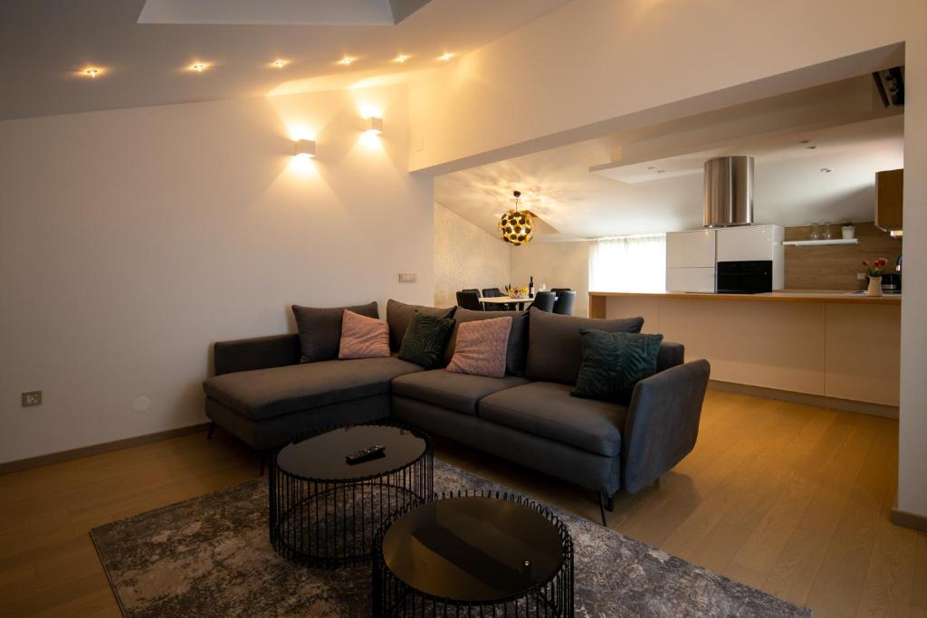 ein Wohnzimmer mit einem Sofa und einer Küche in der Unterkunft Lumaja luxury apartman in Biograd na Moru