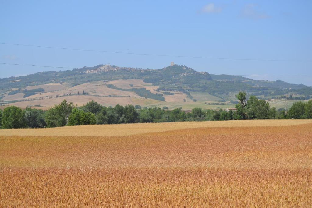 een veld bruin gras met heuvels op de achtergrond bij Valdorcia Belvedere b&b in Pienza