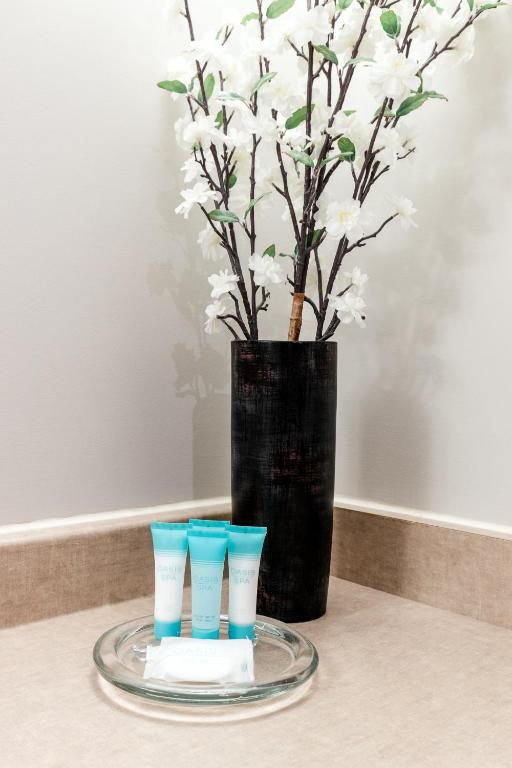 WelcomINNS Ottawa - Resim 33