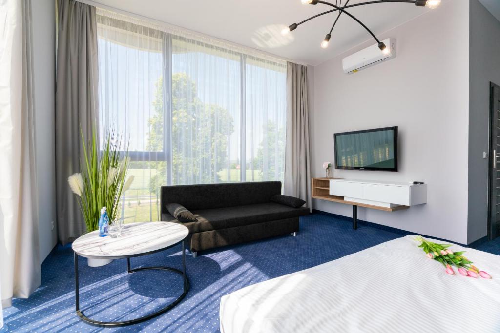 Televízia a/alebo spoločenská miestnosť v ubytovaní Aquila Hotel